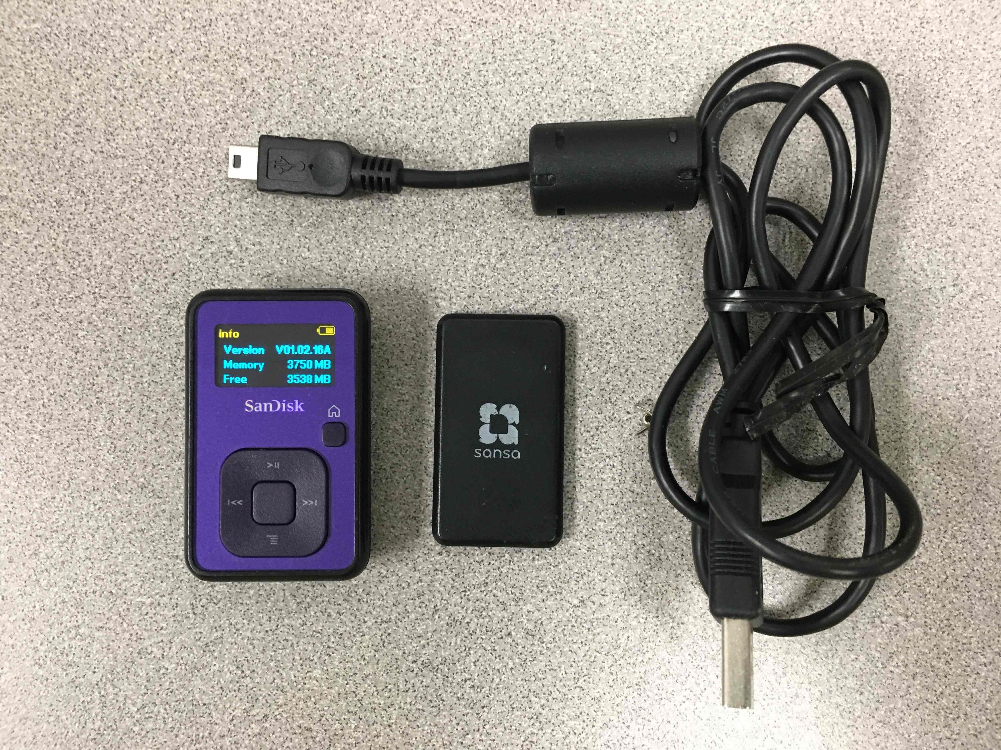 SanDisk Sansa Clip+ 4GB MP3 Player Purple eBay